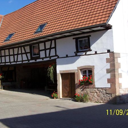 GÎte rue de l'Ange Hunspach Extérieur photo