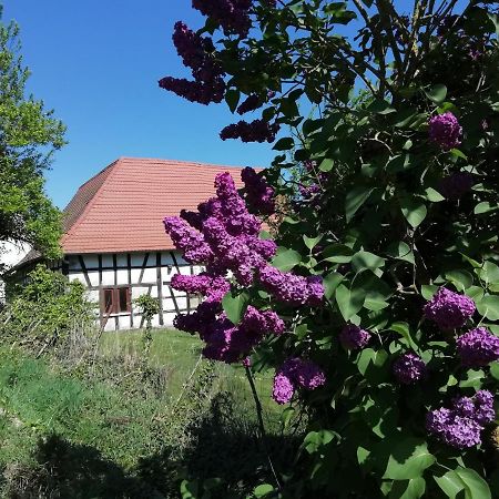GÎte rue de l'Ange Hunspach Extérieur photo