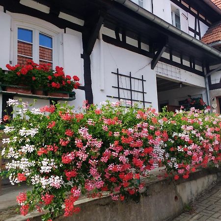 GÎte rue de l'Ange Hunspach Extérieur photo