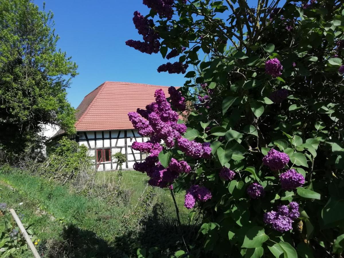 GÎte rue de l'Ange Hunspach Extérieur photo