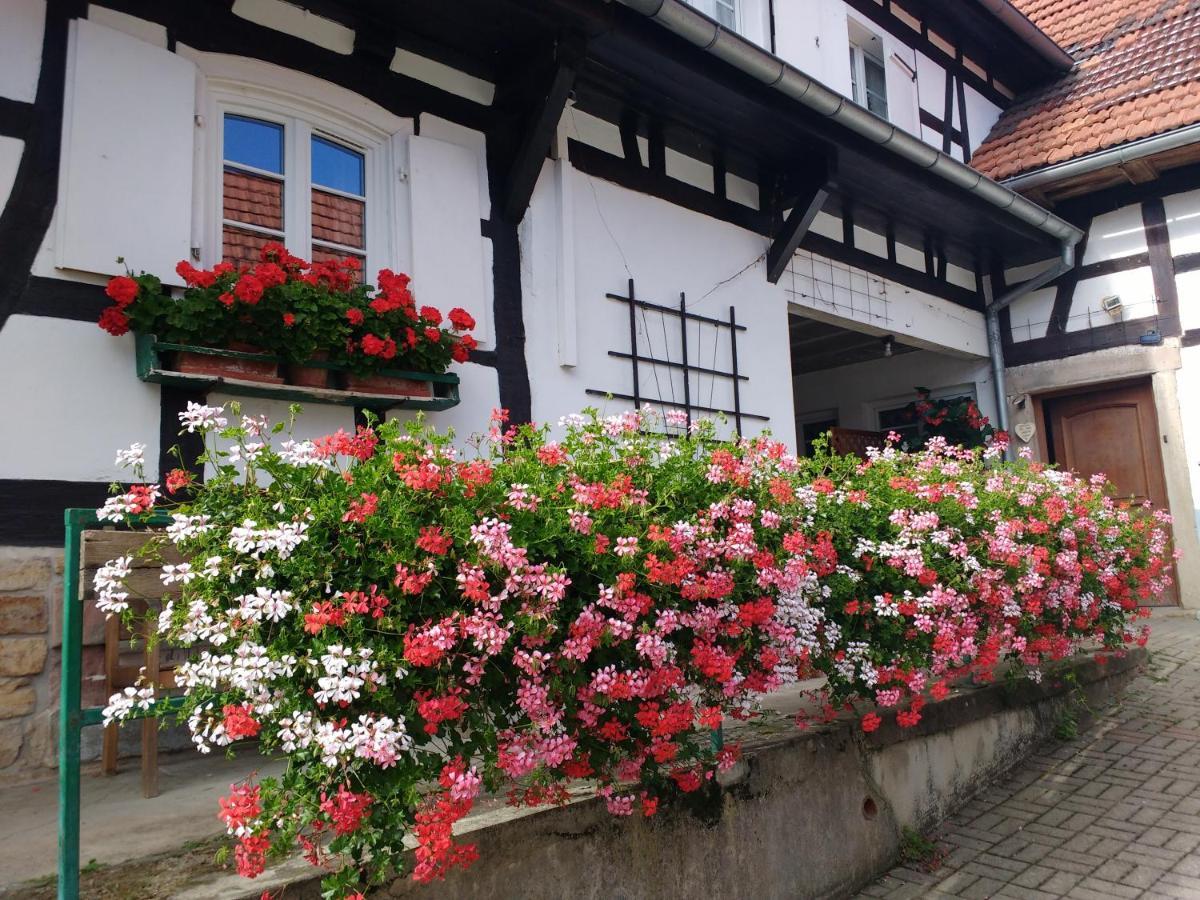 GÎte rue de l'Ange Hunspach Extérieur photo