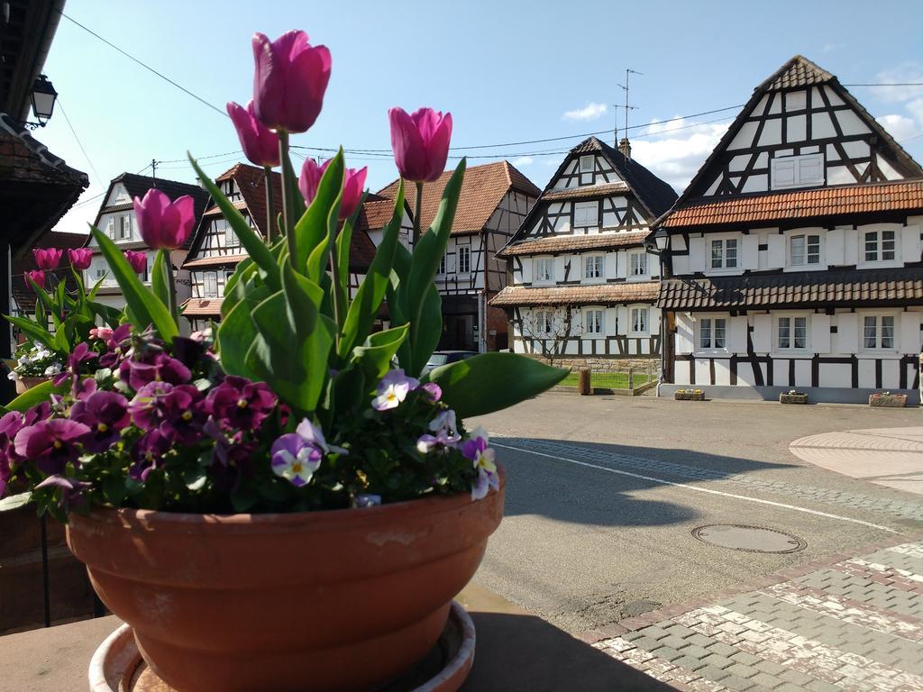 GÎte rue de l'Ange Hunspach Extérieur photo